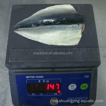 Eksport ikan beku beku flap flaps rama -rama mackerel